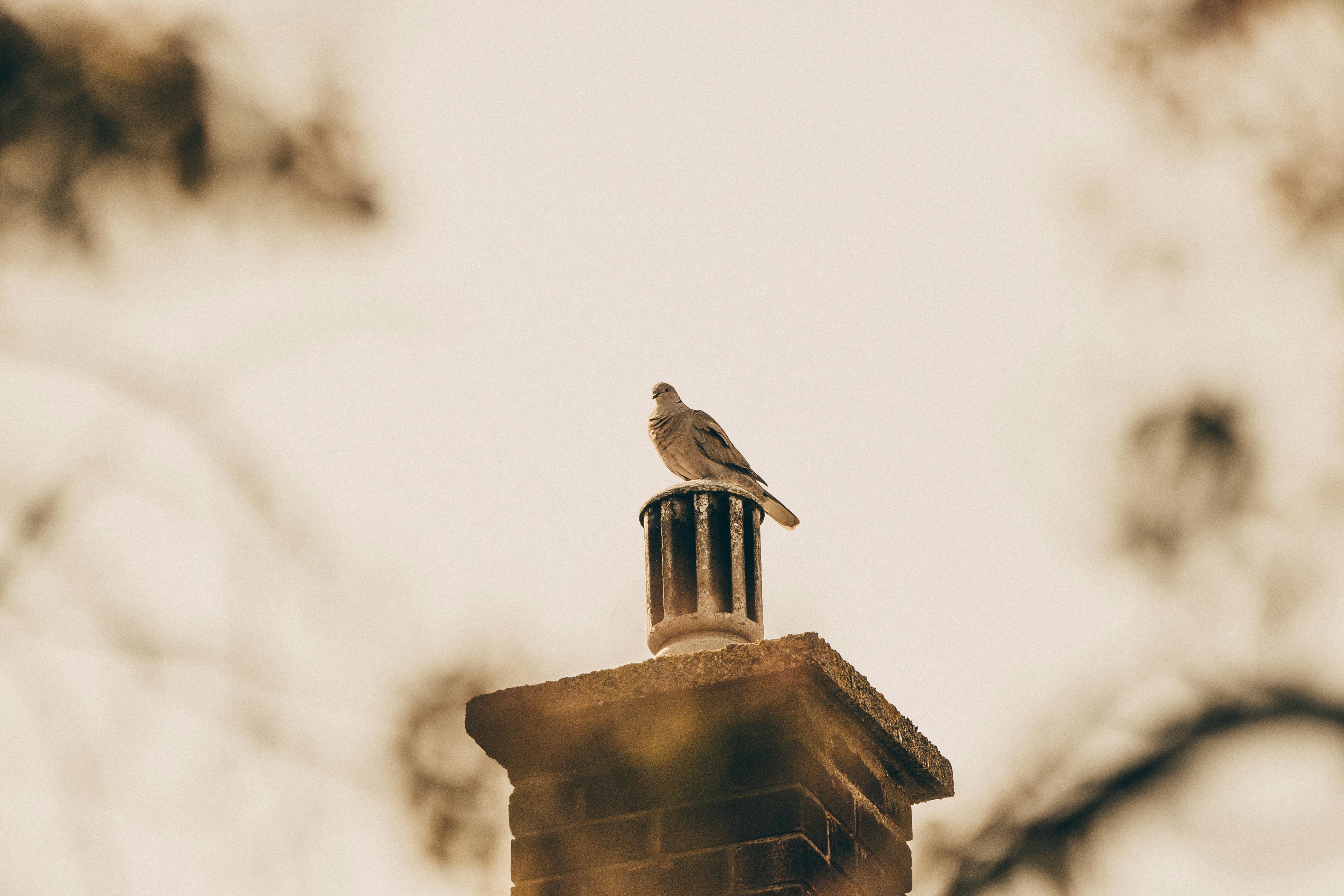 Professional Chimney Cap Installation Services in Manhattan Beach, CA Expert Chimney Cap Installation in Manhattan Beach, California